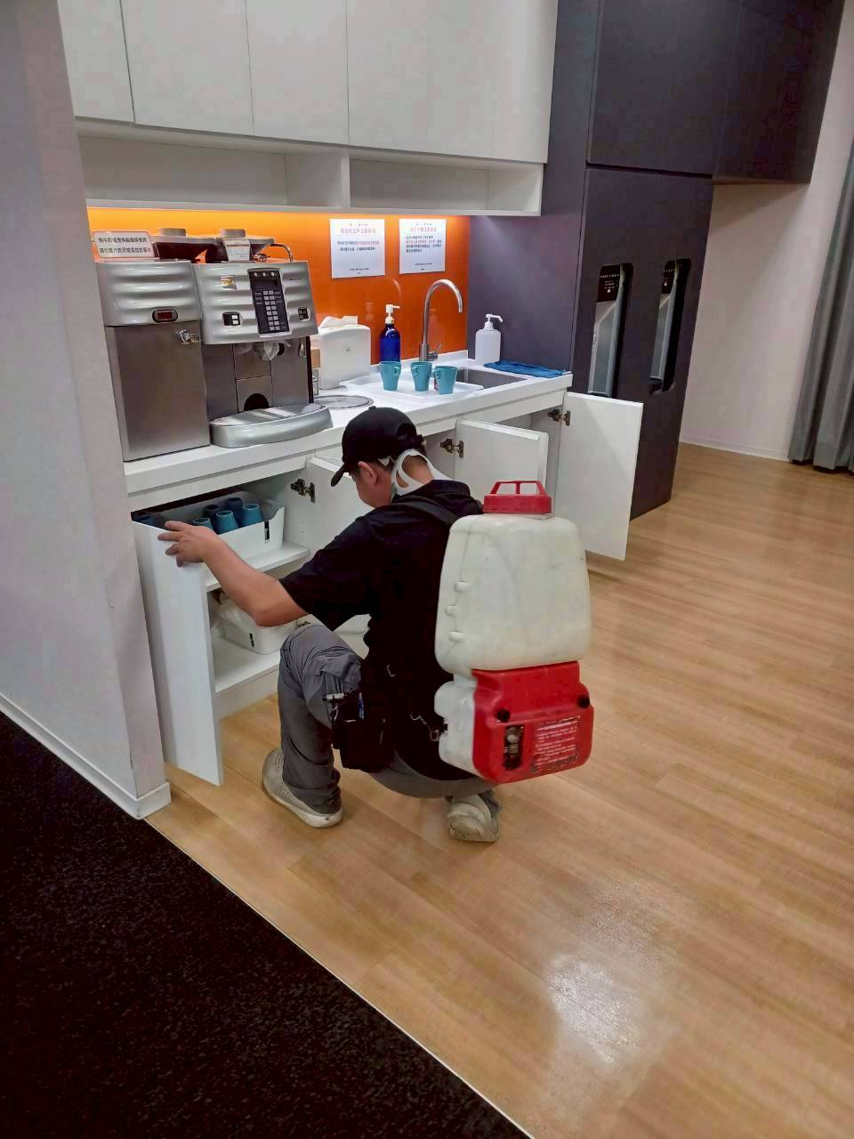 專業除蟑